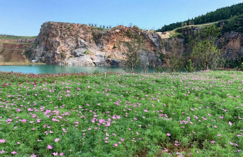 恒行注册：湖北灵山：不负绿水青山 书写生态新画卷(图2)