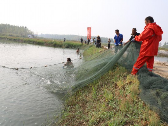 恒行测速：新时代中国调研行·黄河篇丨大地丰收美 蟹肥果飘香——黄河下游秋季见闻(图2)